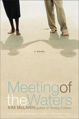 Book cover for Meeting of the Waters