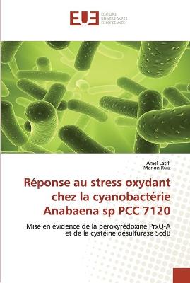 Cover of Reponse au stress oxydant chez la cyanobacterie anabaena sp pcc 7120