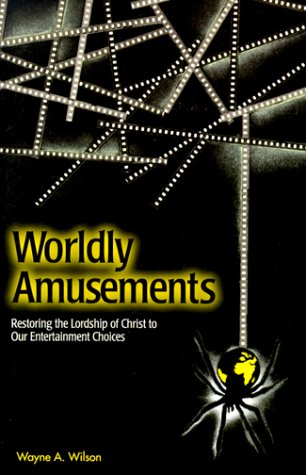 Book cover for Worldly Amusements