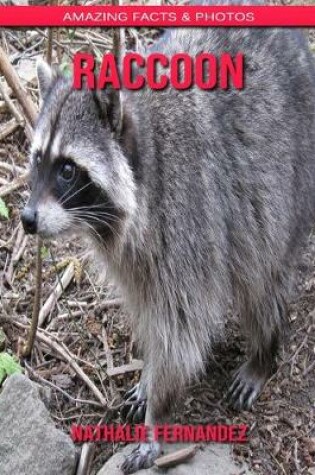 Cover of Raccoon