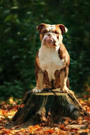 Cover of English Bulldog Sitting on a Tree Stump Journal