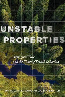 Book cover for Unstable Properties