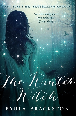 Book cover for The Winter Witch