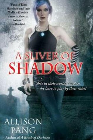 Cover of A Sliver of Shadow