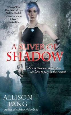 Book cover for A Sliver of Shadow