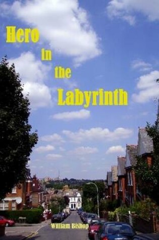 Cover of Hero in the Labyrinth