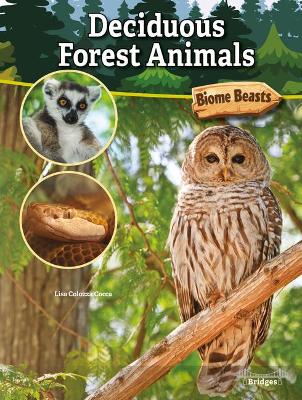 Book cover for Deciduous Forest Animals