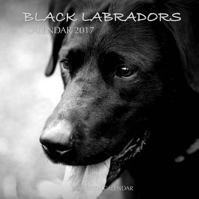 Book cover for Black Labradors Calendar 2017