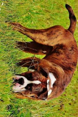 Book cover for A Boxer Dog Caught the Scent Journal