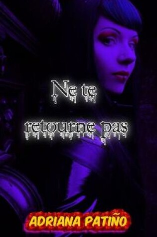 Cover of Ne te retourne pas
