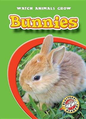 Book cover for Bunnies