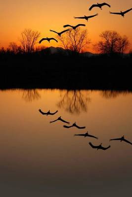 Book cover for Sandhill Cranes at Sunset Journal