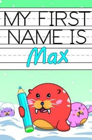 Cover of My First Name is Max