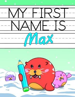 Book cover for My First Name is Max