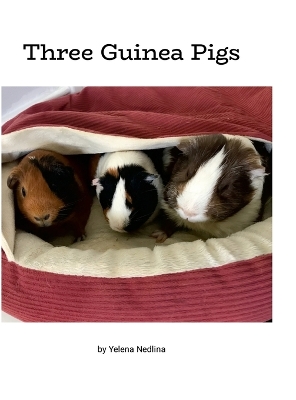 Book cover for Three Guinea Pigs