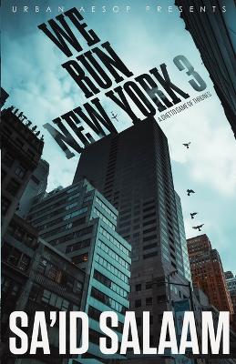 Book cover for We Run New York 3