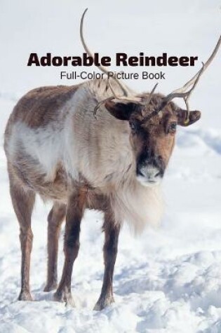 Cover of Adorable Reindeer Full-Color Picture Book