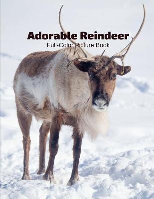 Book cover for Adorable Reindeer Full-Color Picture Book