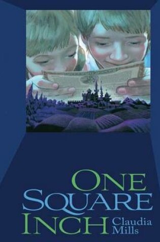 Cover of One Square Inch