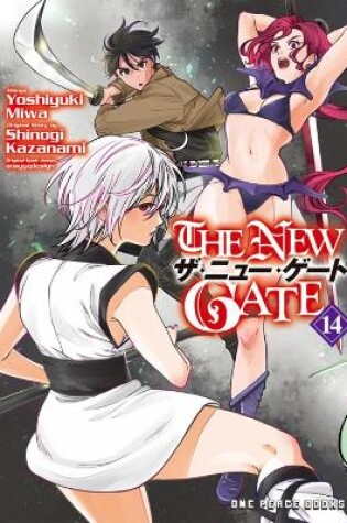 Cover of The New Gate Volume 14