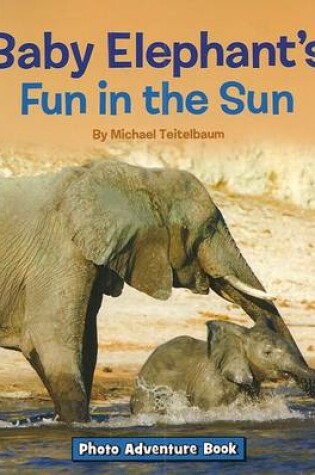 Cover of Baby Elephant's Fun in the Sun