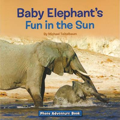 Book cover for Baby Elephant's Fun in the Sun