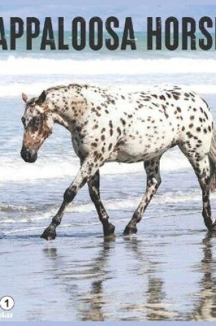 Cover of Appaloosa Horse