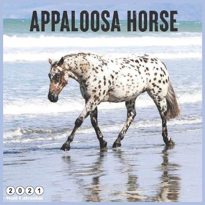 Book cover for Appaloosa Horse