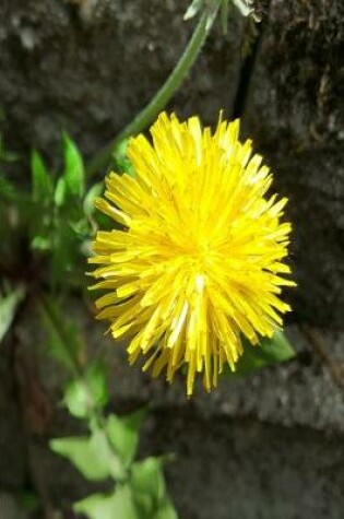 Cover of 2020 Weekly Planner Dandelion Flower Stone Wall 134 Pages