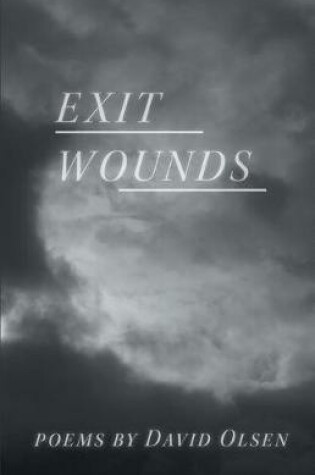 Cover of Exit Wounds