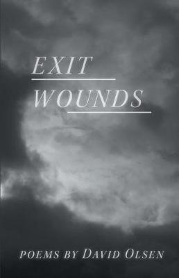 Book cover for Exit Wounds