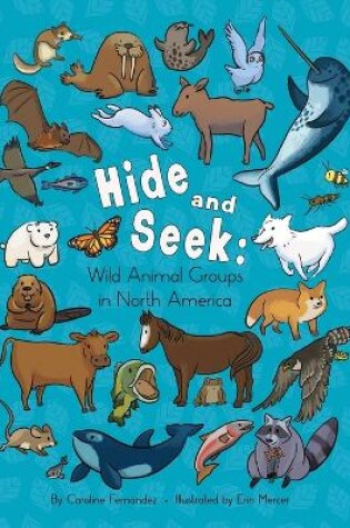 Cover of Hide and Seek