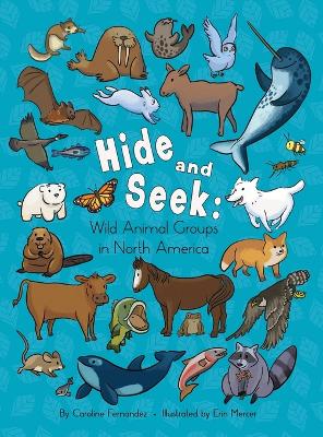 Book cover for Hide and Seek