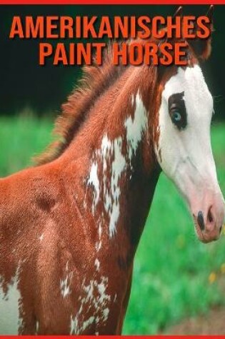 Cover of Amerikanisches Paint Horse