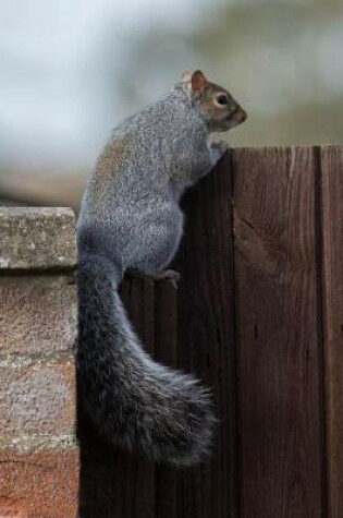 Cover of Gray Squirrel Looking Over the Fence Animal Journal