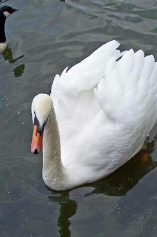 Cover of Beautiful White Mute Swan on a Pond, Birds of the World