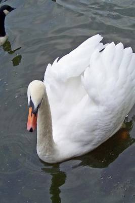 Book cover for Beautiful White Mute Swan on a Pond, Birds of the World