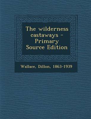 Book cover for The Wilderness Castaways - Primary Source Edition