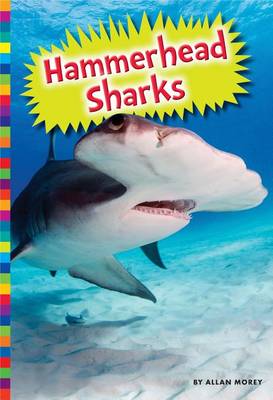 Cover of Hammerhead Sharks