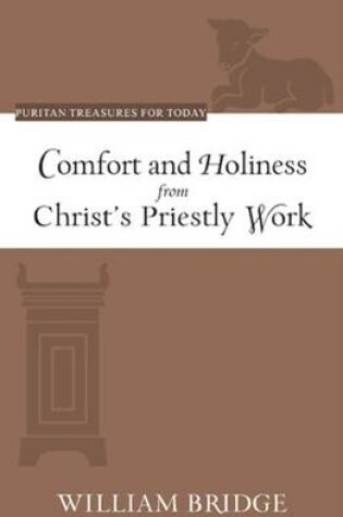 Cover of Comfort and Holiness from Christ's Priestly Work
