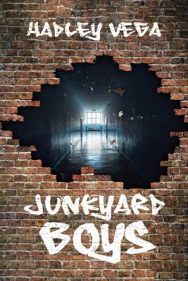 Cover of Junkyard Boys