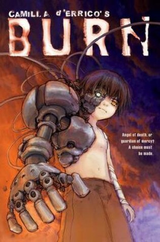 Cover of Camilla d'Errico's Burn