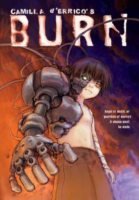 Book cover for Camilla d'Errico's Burn