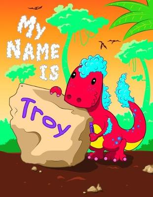 Book cover for My Name is Troy