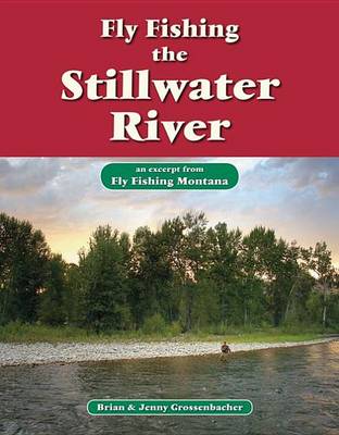 Book cover for Fly Fishing the Stillwater River