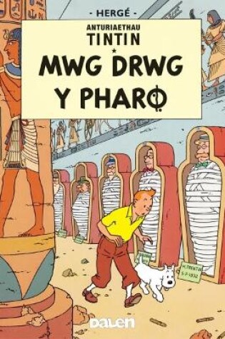 Cover of Cyfres Anturiaethau Tintin: Mwg Drwg y Pharo