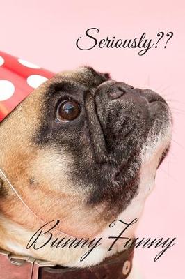 Book cover for Funny Dog