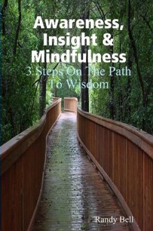 Cover of Awareness, Insight & Mindfulness