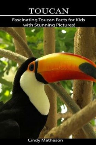 Cover of Toucan