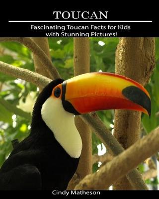 Book cover for Toucan